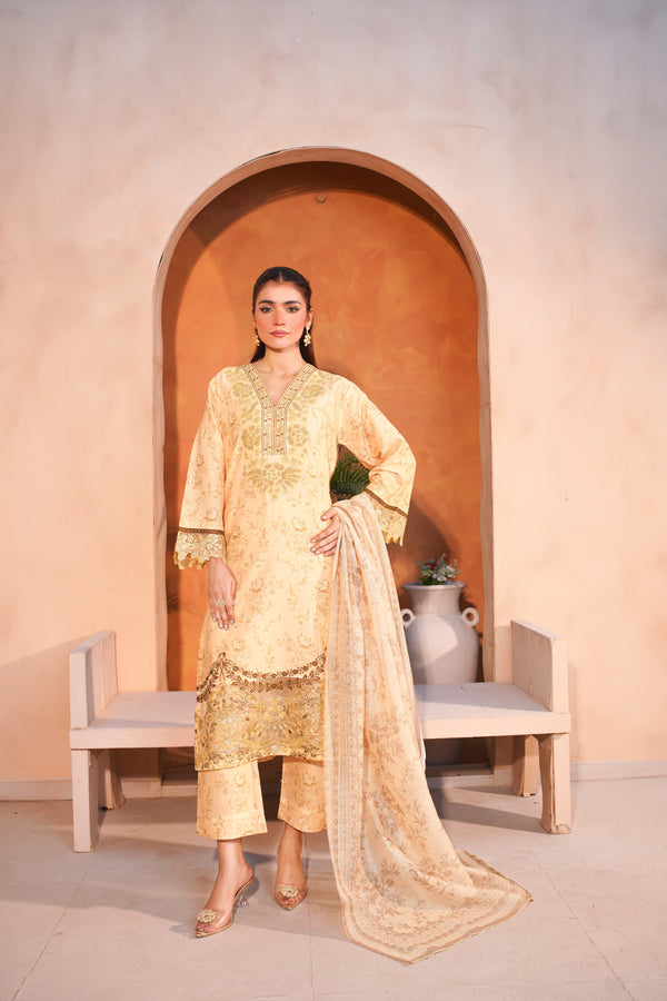 RANI PATCH EMBROIDERY 3 PS SUIT